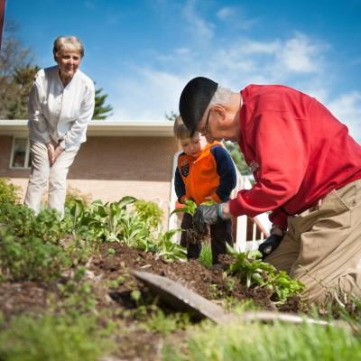 Senior man and young grandson planting flowers